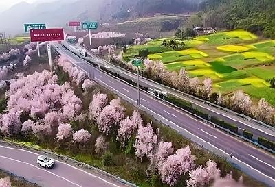 我的家乡我的村 | 王家坪村：“一张传单”链新景