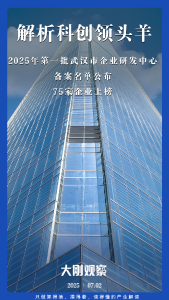 武汉这份科创名单，跑出多个行业第一