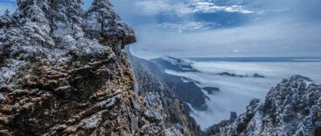 全国生态日丨神农架：91.16%森林覆盖率背后的生态答卷