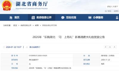 湖北将发放新春大礼包！100元、80元、60元……