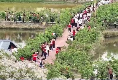 最长连休8天！多地陆续宣布→