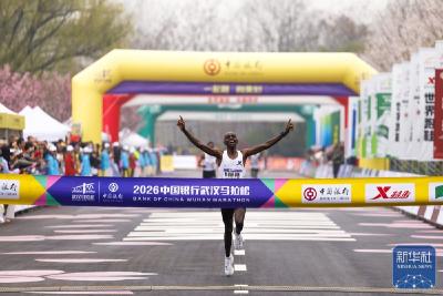 春日江城 樱花漫道 2026武汉马拉松开跑