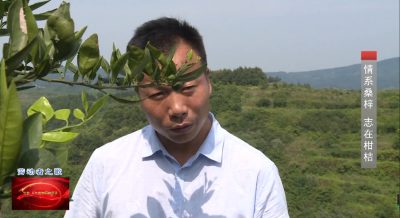 王杰：情系桑梓 志在柑桔 