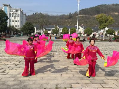 丁家营镇首届“桃花文化旅游节”将于3月12日开幕