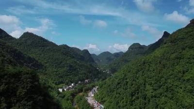 防灾减灾小常识：森林防火公益广告