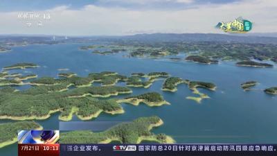 央视网：湖北丹江口“火焰山”上披绿装