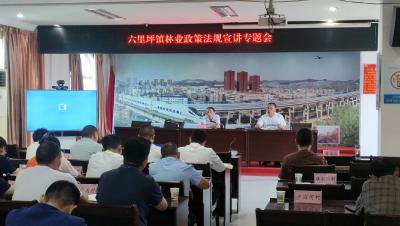 市林管中心：法制宣讲进乡村  优化营商大环境