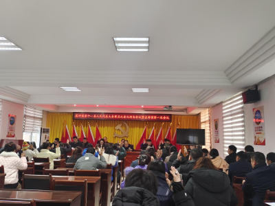 蒿坪镇召开第十一届人民代表大会第五次会议