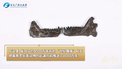 盛世修文丨文化有根 文明有源