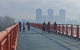 沧浪洲生态湿地公园：生态之美与市民悠闲生活相映成趣