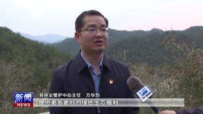 专访县林业管护中心主任 方华均