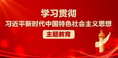 学习贯彻习近平新时代中国特色社会主义思想主题教育