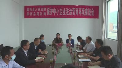 专访县人民法院党组成员、副院长汪光照