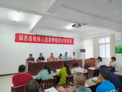 县残联：开展蔬菜技术培训助力残疾人增技增收