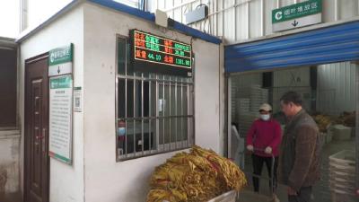 十堰郧西：实现产值2100万元！我县烤烟喜迎丰收