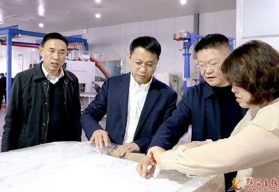 王兵督导重点项目建设、重点企业生产等工作