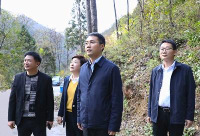 王兵督办重点项目建设、民生实事办理等工作