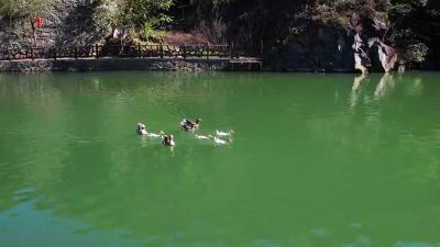 香口龙居湾