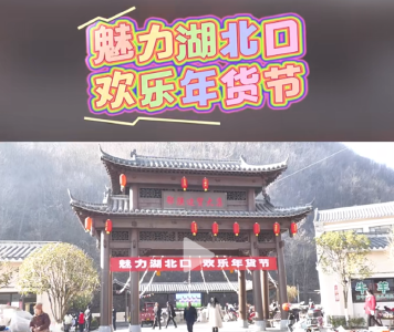 魅力湖北口 欢乐年货节