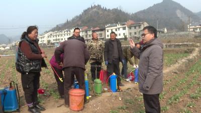 郧西：农技人员田间地头为冬管“支招”
