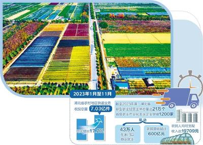 全面振兴开新局——湖北深入实施强县工程