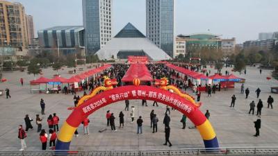 达成就业意向917人！郧西“春风行动”暨鄂郧劳务协作现场招聘会举行