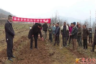 农业农村局开展“田间课堂”助力桑园春管
