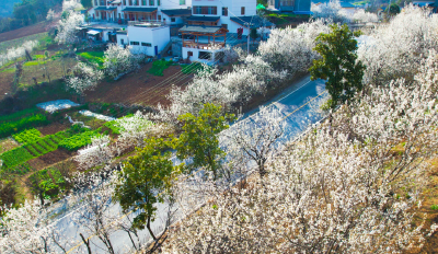 春有约，花不误！这里的春日浪漫藏不住了……