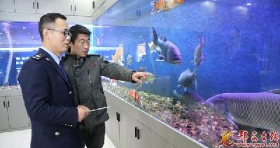 十堰郧西：税助“冷水鱼”养成“热产业”