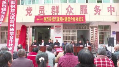 全市首家！沉溪河村通信合作社揭牌成立