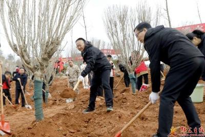 查宏等县领导参加义务植树活动