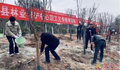 县林业管护中心积极开展义务植树活动