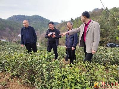县审计局助力乡村振兴产业发展
