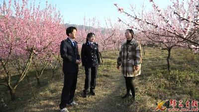 税宣“春风”吹“热”田园经济