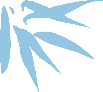 实力宠粉，热迎游客→看梨花村群星演唱会，郧西文旅惠民大礼包来啦
