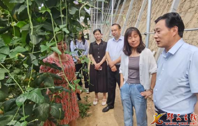 河夹镇赴北京市平谷区马坊镇开展结对共建活动
