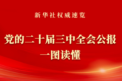 新华社权威速览｜党的二十届三中全会公报一图读懂