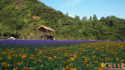 十堰郧西：下营淘宝村“电商+”升级发展新模式