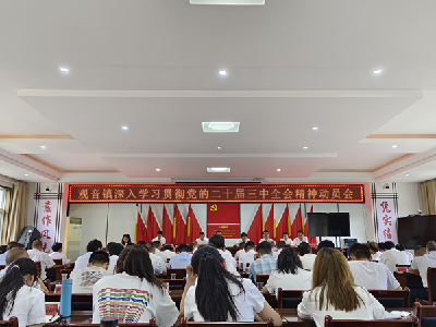 【深入学习贯彻党的二十届三中全会精神】观音镇：坚持融城发展 建设县城“后花园”