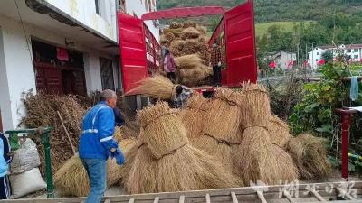关防乡：“铁扫帚”扫出百姓“致富路”