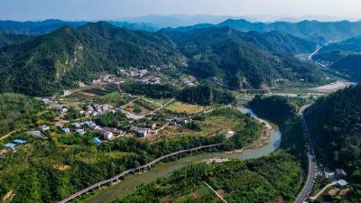 十堰郧西：林业从绿起来向美起来、富起来、强起来迈进