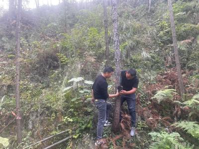 我县启动秦巴山区野生动物监测保护项目