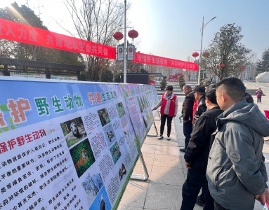 我县开展2025“世界野生动植物日”宣传活动
