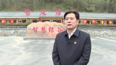 【服务湖北建成支点访谈】河夹镇：聚力产城融合添动能 服务支点建设立新功