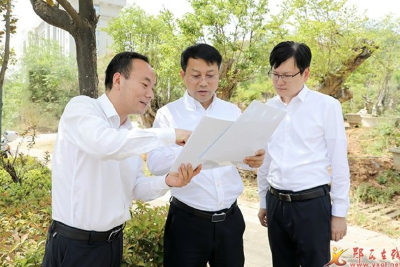 王兵：推动项目建设大提速 夯实经济发展硬支撑