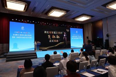 家庭建设主题展示全国示范活动暨第二届湖北省家庭文化节在宜昌举行