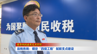 【服务湖北建成支点访谈】县税务局：锚定“四提工程” 赋能支点建设