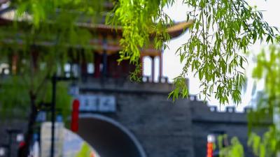 郧西文化聚力激发文旅“热”