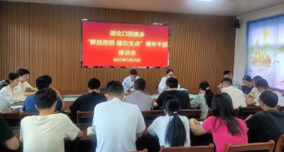 【解放思想 建功支点】湖北口回族乡：强化支点意识 打造鄂陕边陲新标杆
