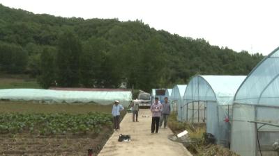 十堰郧西：开展无人机与光谱诊断技术精准施肥试验